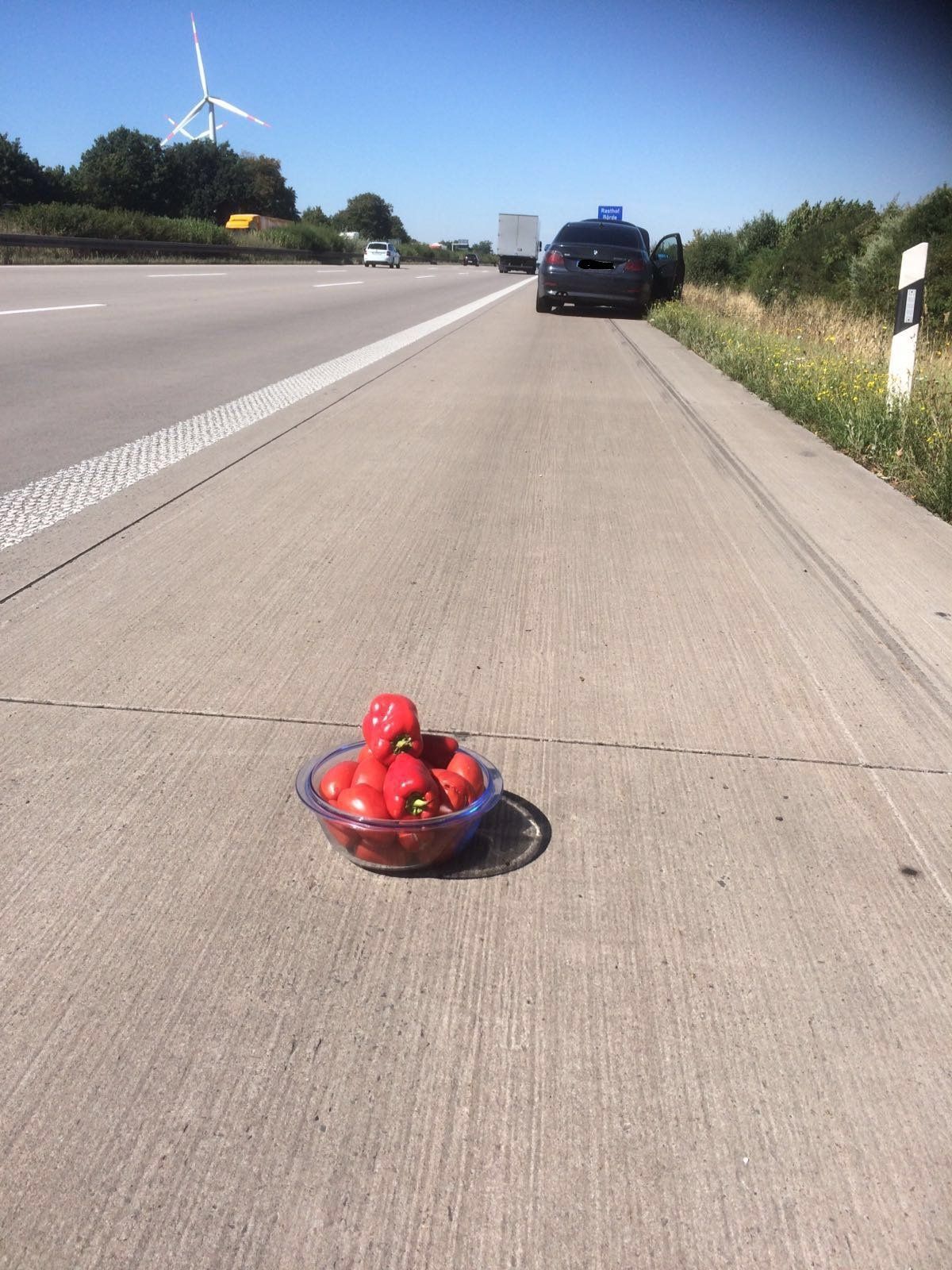 Řidič z Litvy nenašel výstražný trojúhelník, při poruše na dálnici varoval ostatní miskou paprik