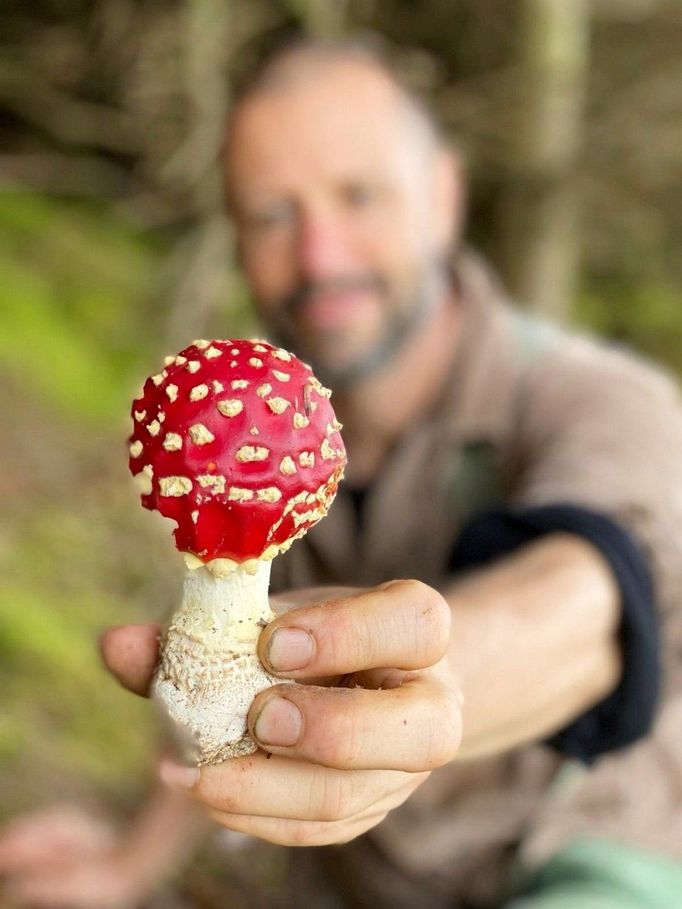 Příroda je prostřený stůl, je ale potřeba dobře si vybrat. Pozor na otravu.