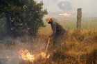 Na jihu Francie a Španělska se rychle šíří požáry, úřady uzavřely důležitou dálnici