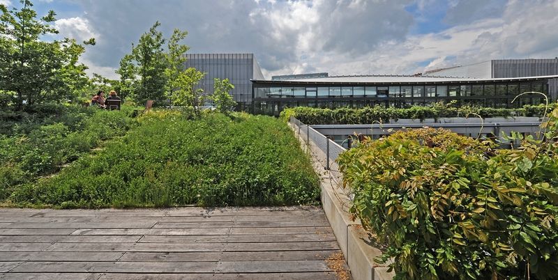 Krajinářská architektura