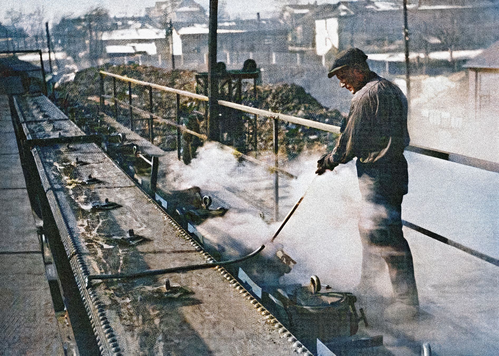 Ostrava, 100 let, obarvené fotografie, Domácí