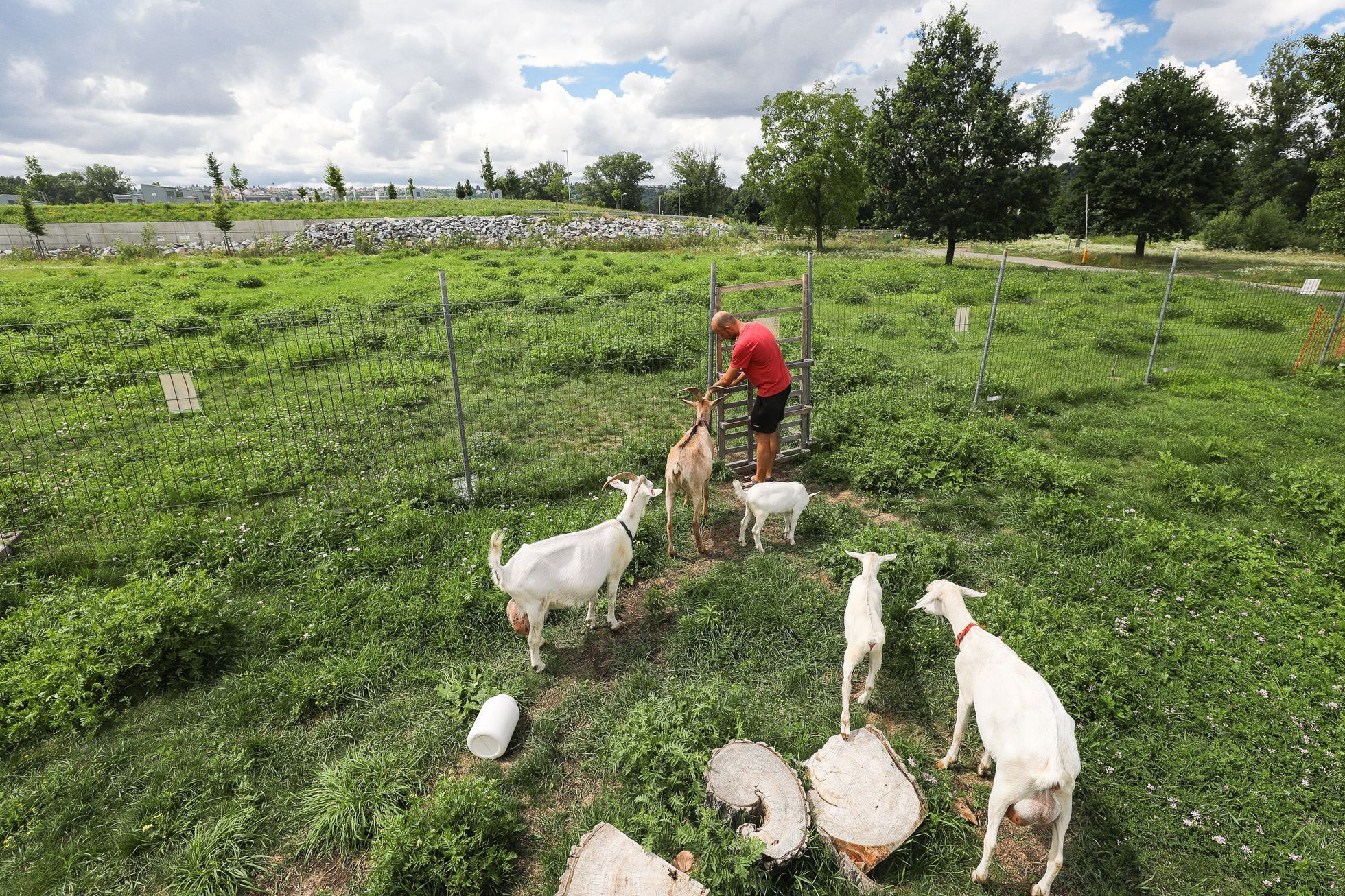 Komunitní zahrady Praha - Metro Farm, Vidimova, komunitní zahrada, pěstování, zahradničení, zahrádkář, zahrádkaření, rostliny