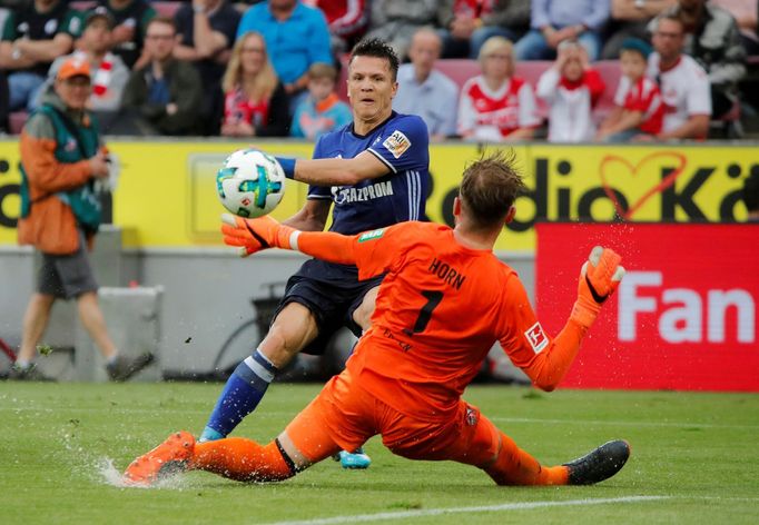 Cologne - Schalke: Timo Horn, Konopljanka