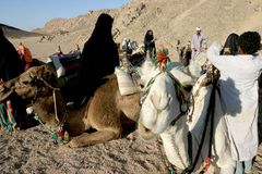Vzpoura na Sinaji: Beduíni unesli 25 policistů