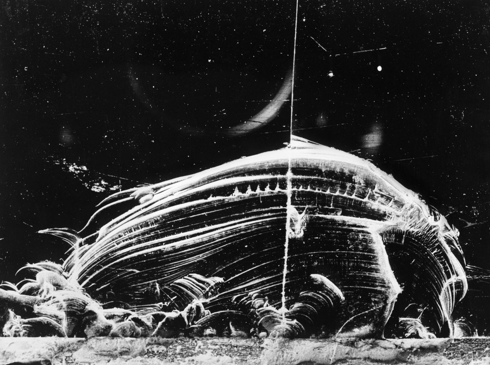 Výstava: Vilém Reichmann. Každá věc je počátkem básně, Vilém Reichmann, fotograf, výstava, Brno, Foto, Magazín