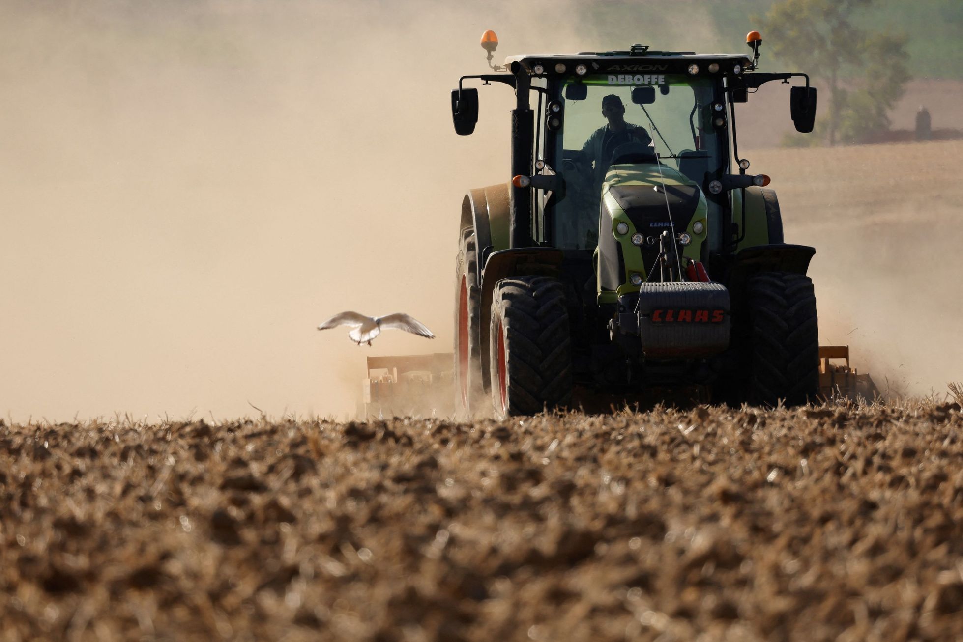 sucho řeky evropa řeka voda klimatická změna