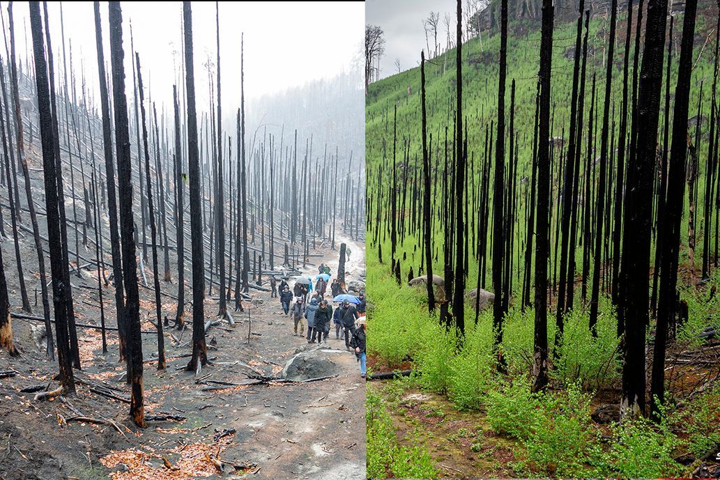 NP České Švýcarsko