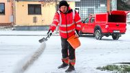 Zbýšov u Brna: Čerstvě napadaný sníh mizí pod vrstvou soli.​