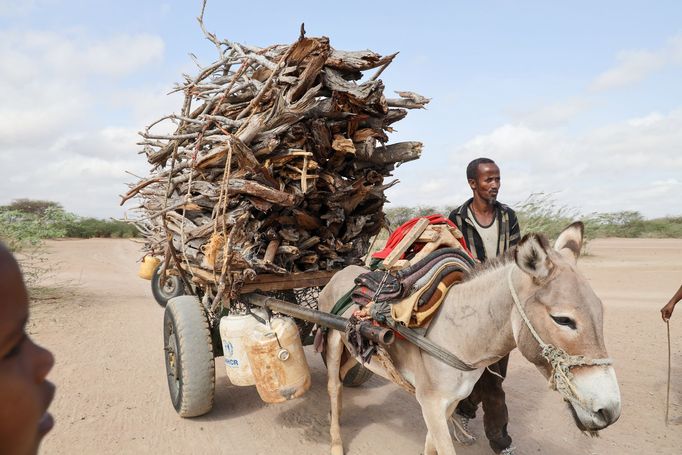 Snímek z Keňské republiky v Africe, která byla pořízena v oblasti města Dadaab v roce 2022, kde je i velký uprchlický tábor pro lidi, kteří byli postižení hladomorem.