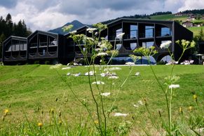Dům v Alpách má úchvatnou architekturu. Vychází z okolního pohoří i farmářských vidlí