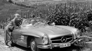 V "případě Kienle" jde o tento typ Mercedesu: Roadster 300 SL s interním označením W 198 II, který byl vyroben v 1858 exemplářích. Ve žluté barvě vyjelo z továrny jen pět kusů.