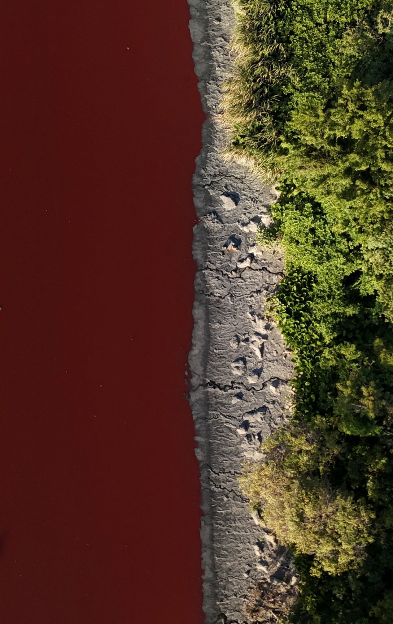 Červená řeka, řeka Sarandi, kontaminace, znečištění, Argentina, Zahraničí