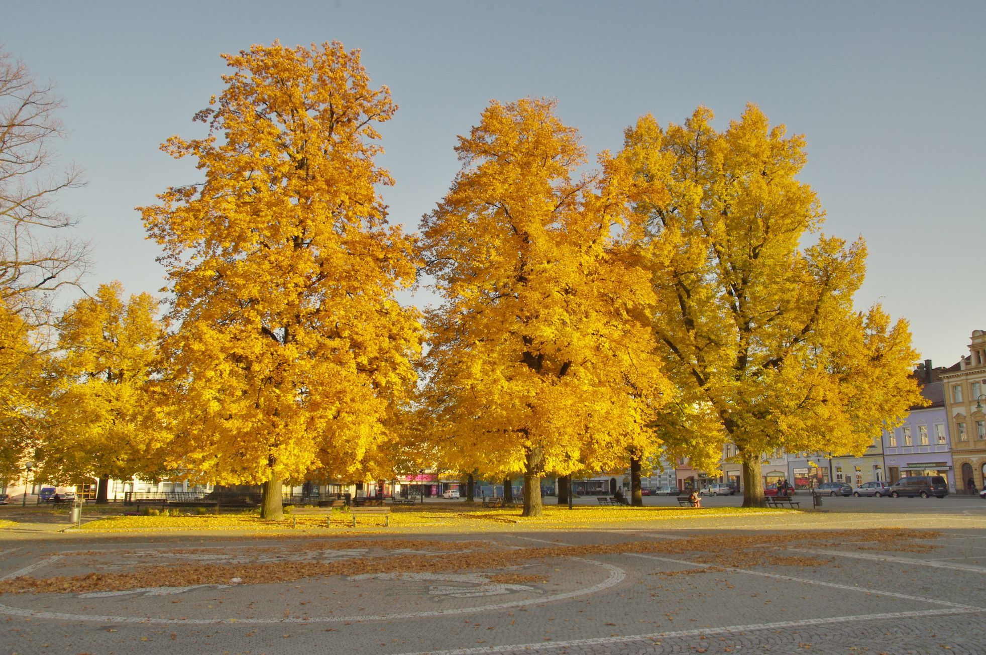 Fotosoutěž: Můj podzim - Jiří Vyčítal