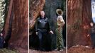 U.S. President Bill Clinton takes a walking tour of the Trail of 100 Giants in the Sequoia National Forest, April 15.