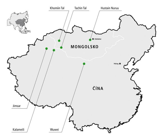 Mapa výskytu koně Převalského