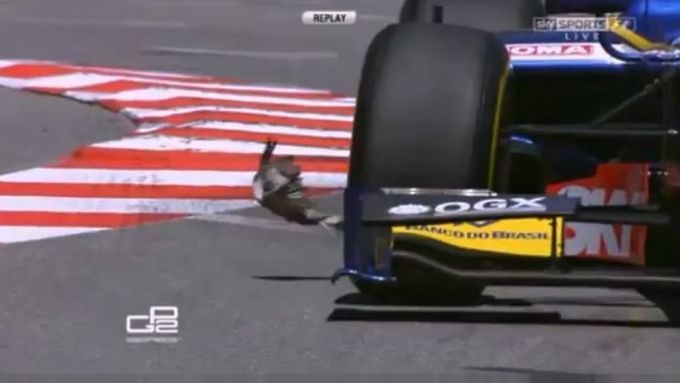 Podívejte se, jakým artistickým kouskem v Monaku pták unikl před formulí GP2.