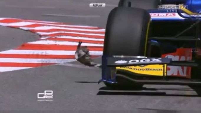 GP2 Monako 2012: pták