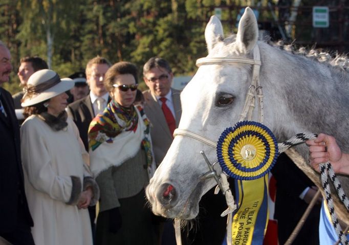 Hlava vítězné klisny Sixteen. Livia Klausová (vlevo) a princezna Anna v pozadí.