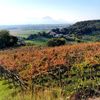 Itálie, pivo, Benátsko, víno, Simone, Vicenza, vinařství, vinice
