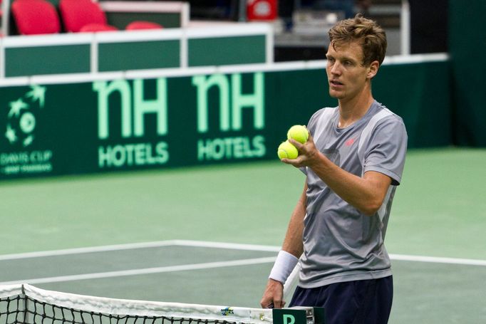 Davis Cup, Tomáš Berdych