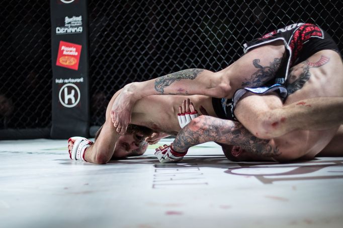 GCF 30: Galavečer MMA (ultimátní zápasy)