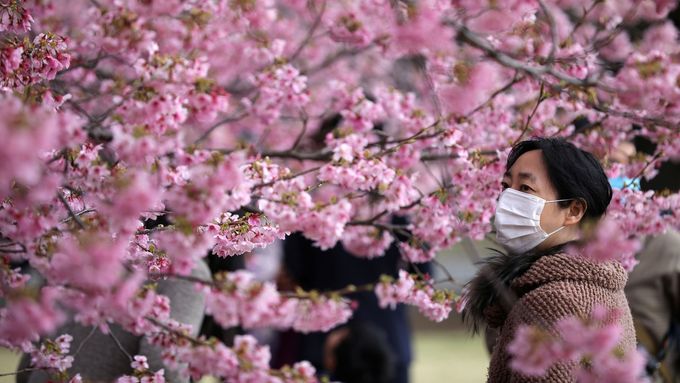 Obrazem: Krása kvetoucích sakur. Podívejte se, jak se zabarvily stromy vítající jaro
