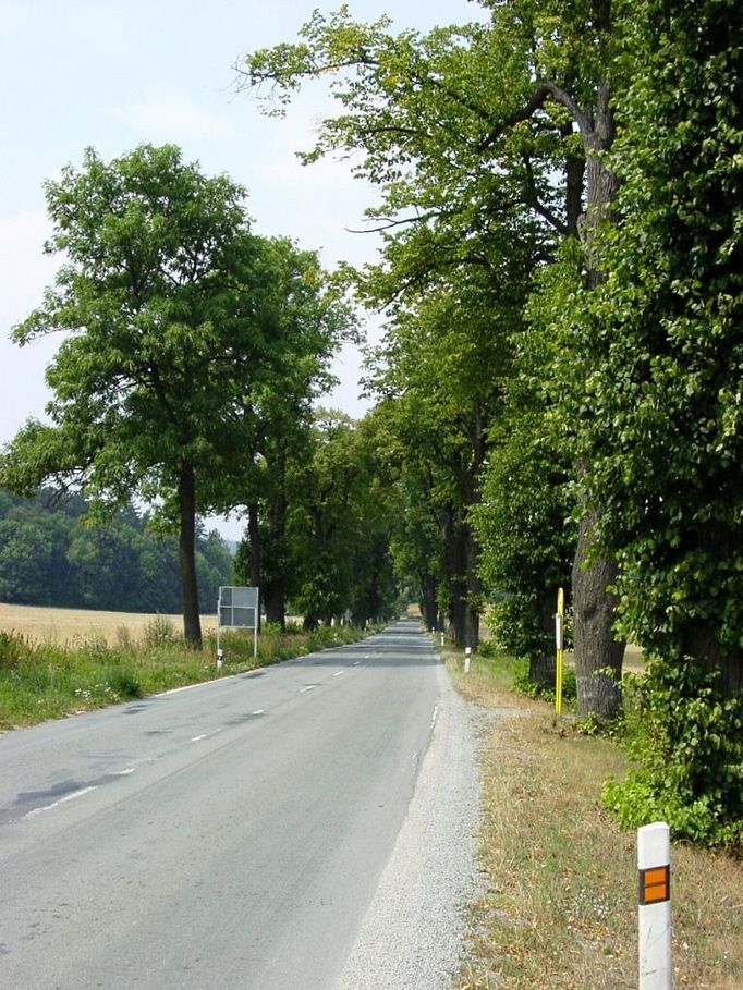 Jedovnická alej (Jedovnice, Jihomoravský kraj).  Stromořadí cca 200 lip a jasanů lemující silnice vedoucí z Jedovnic do Lažánek a do Rudice. Největší obvod má lípa u zastávky autobusu v Jedovnicích.