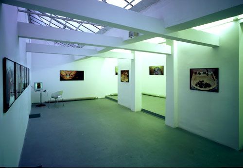 Pohled do instalace fotografického cyklu "Moje soubory" v galerii Futura.