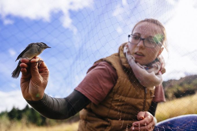 Nominace na Czech Press Photo 2019 - Životní prostředí