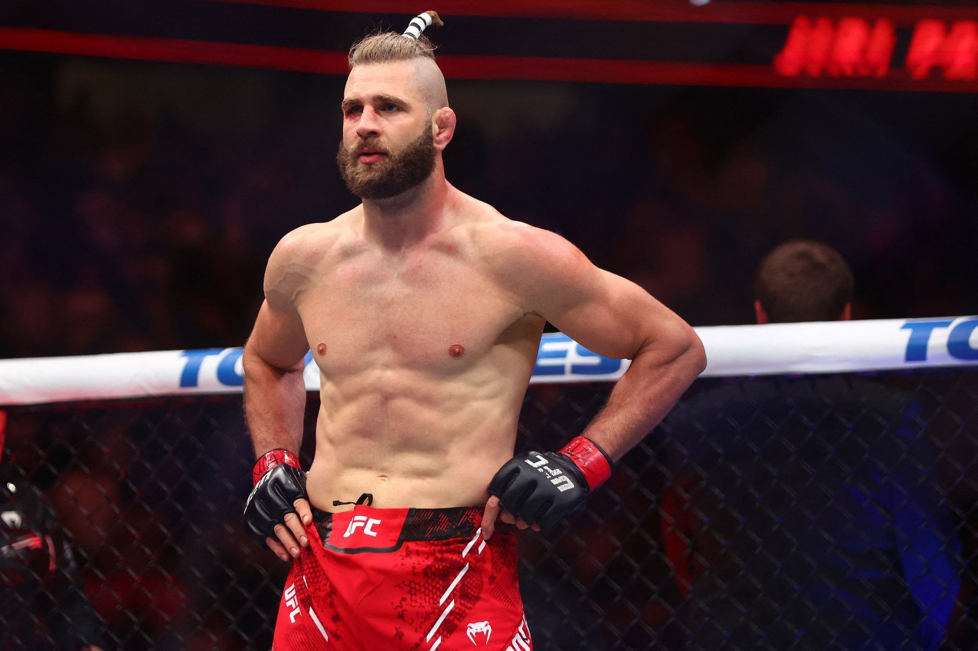 Jiří Procházka při souboji s Aleksandarem Rakiče, v rámci UFC 300