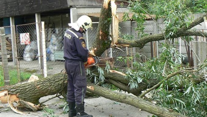 Hasiči museli odstraňovat spadlé stromy (ilustrační foto).