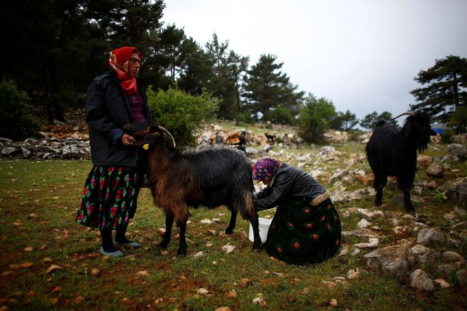 Život nomádských pastevců v turecké provincii Konya