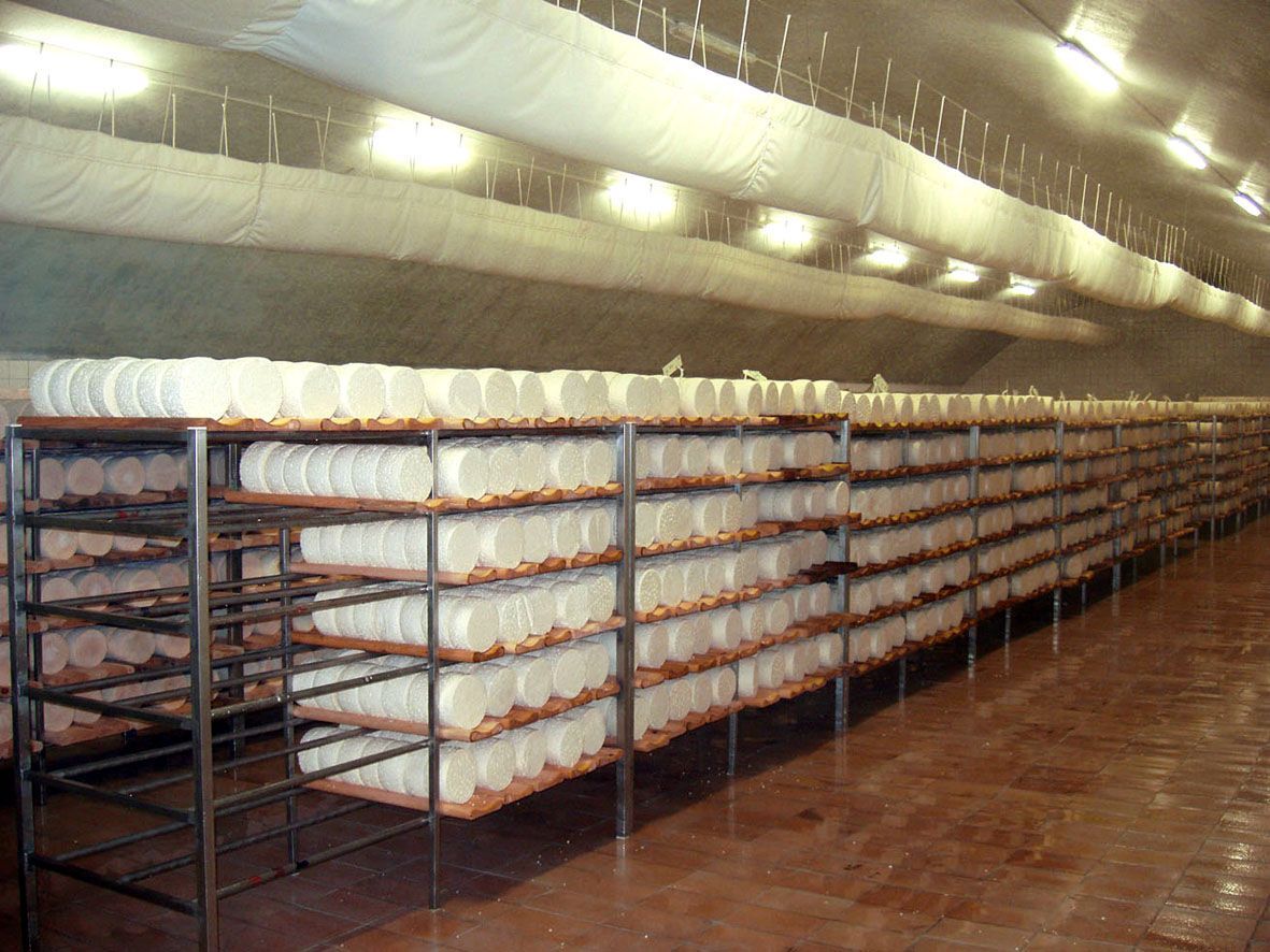 Výroba sýru niva