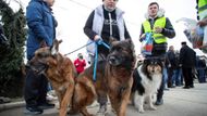 "V případě, že zvíře během karantény poraní člověka, nebo se u něj projeví onemocnění s nervovými příznaky, bude mít jeho majitel povinnost neprodleně kontaktovat soukromého veterinárního lékaře a zajistit vyšetření zvířete," uvedl mluvčí Státní veterinární správy Petr Vorlíček. 