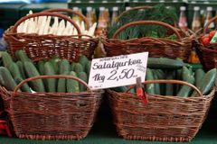 Rusko zakazuje dovoz zeleniny, bojí se smrtících okurek