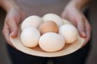 Západoevropské země stahují toxická vejce, Česko zavádí kontroly