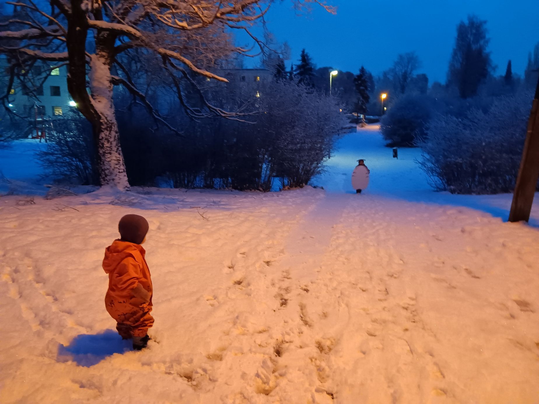 Archiv Michaely Ahonen