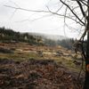 Rekultivace cest pro zadržení vody - Jizerské Hory - spolek MilujemeJizerky, ochrana přírody, zadržení vody