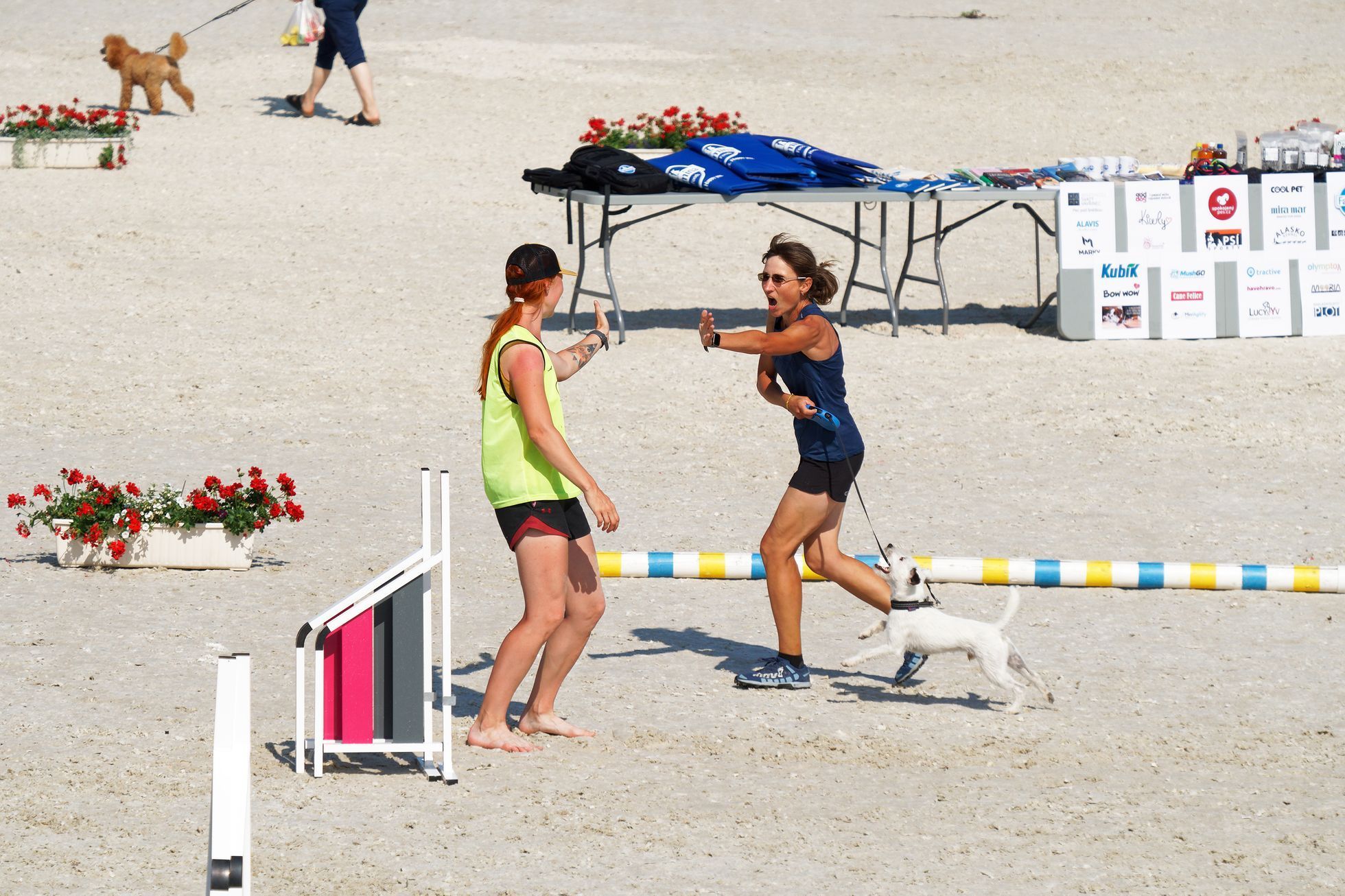 Prague Aglility Party 2023: evropské kynologické závody na dostihovém závodišti ve Velké Chuchli