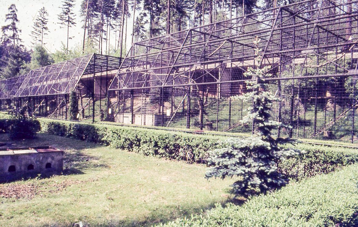 ZOO Liberec, zoo, zoologická zahrada, Liberec, historie, výročí, Domácí
