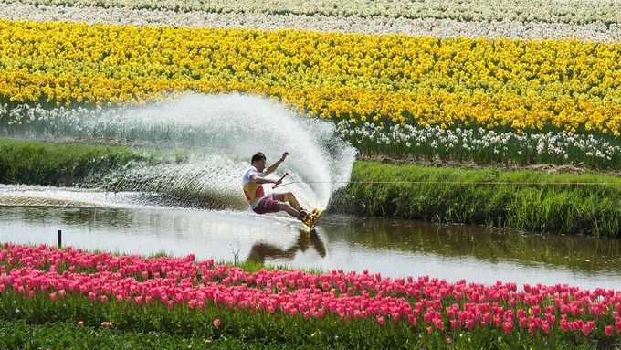 Pro ty, kdo už chtějí jaro: kvetoucí louky a sport očima špičkových fotografů