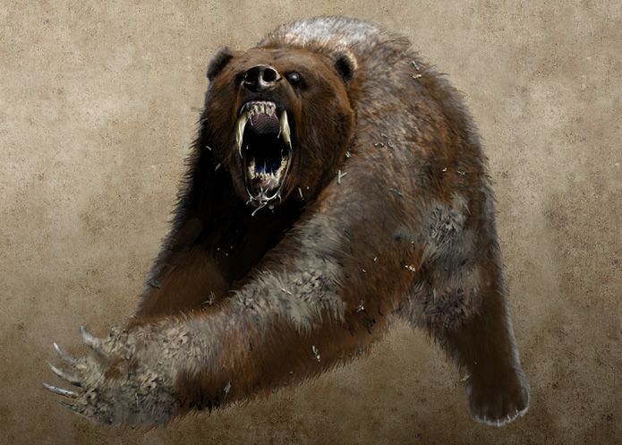 Pán prstenů: Bílá rada - Bear