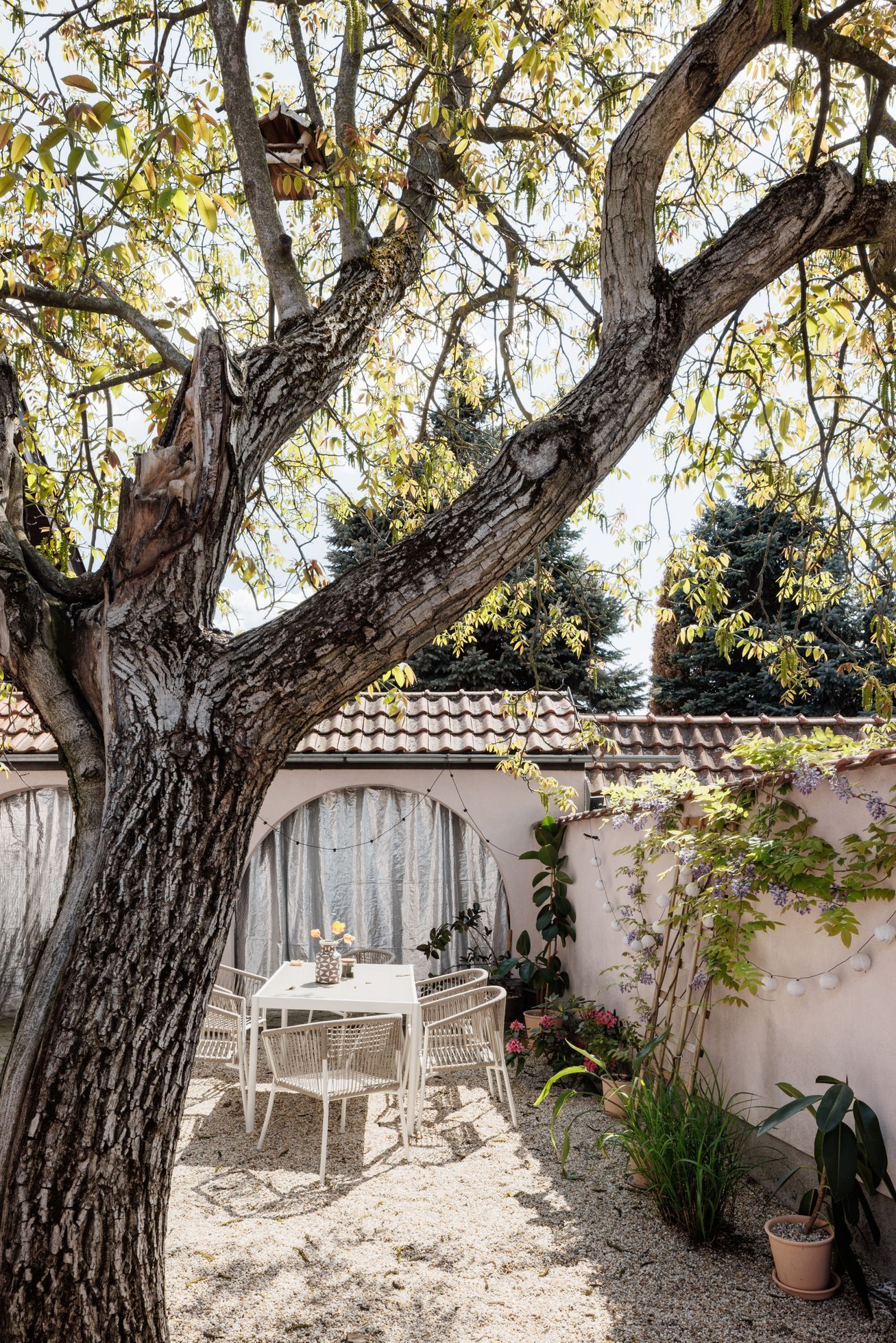 dům, rekonstrukce, slovensko, architektura