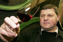 Další záplata rozpočtu: daň 10 korun z litru vína