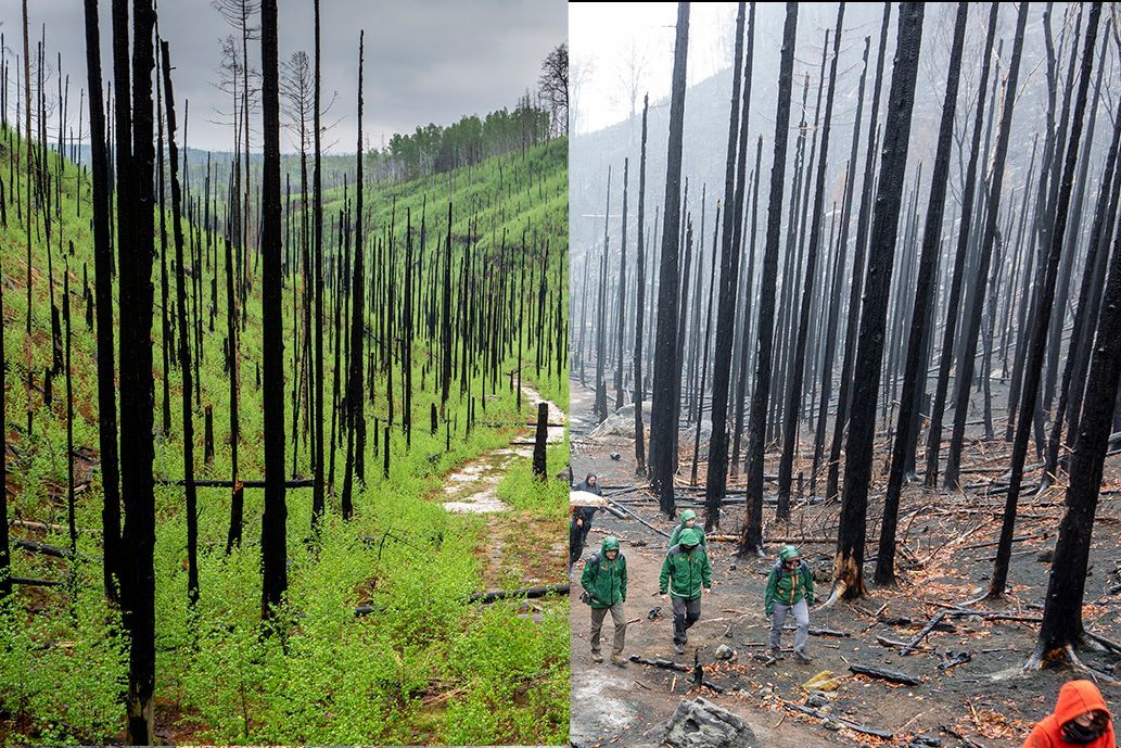 NP České Švýcarsko