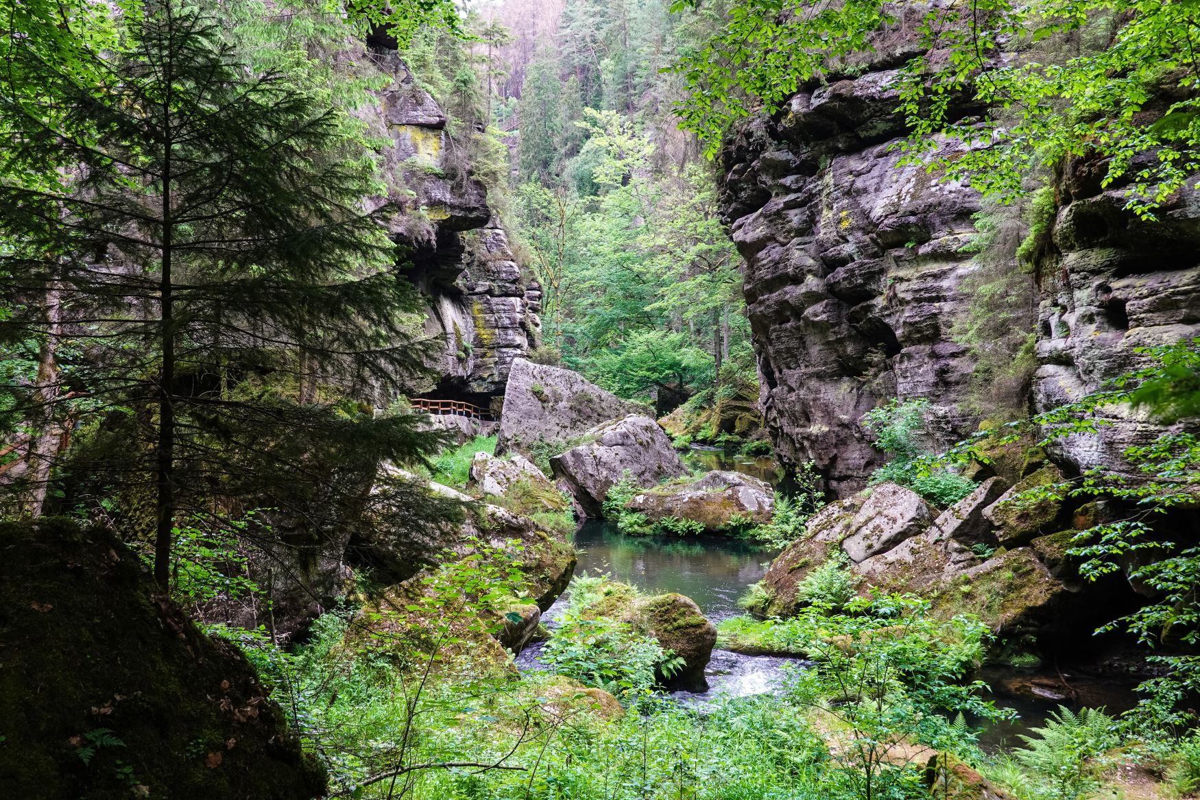 Národní park České Švýcarsko