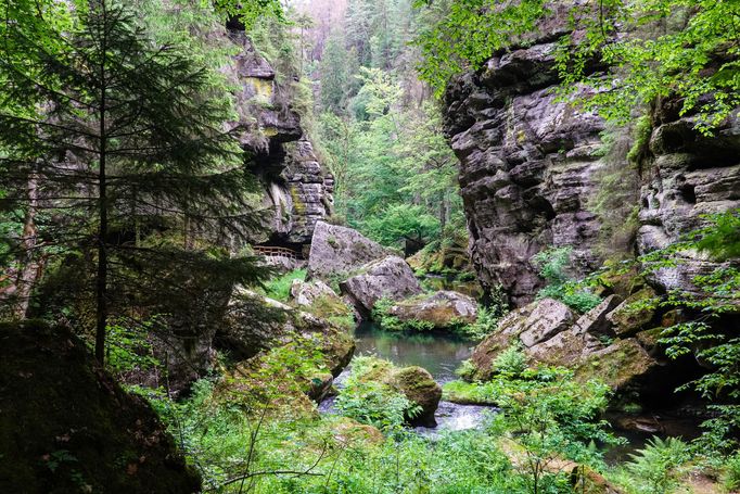 Edmundova (Tichá) soutěska, řeka Kamenice, Národní park České Švýcarsko