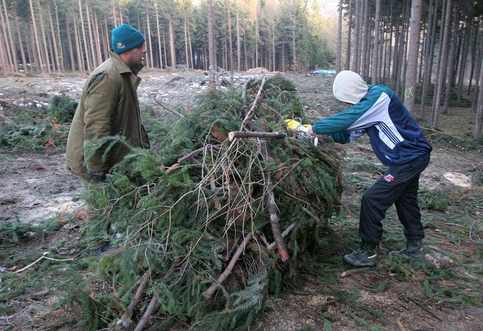 Kolečka jsou jediná mechanizace, která se dá k této práci použít. Naložit hromadu, odvézt na kraj paseky, vyklopit. A tak dokola.