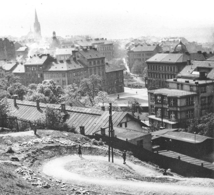 Pohled z vrchu Parukářka na Žižkov