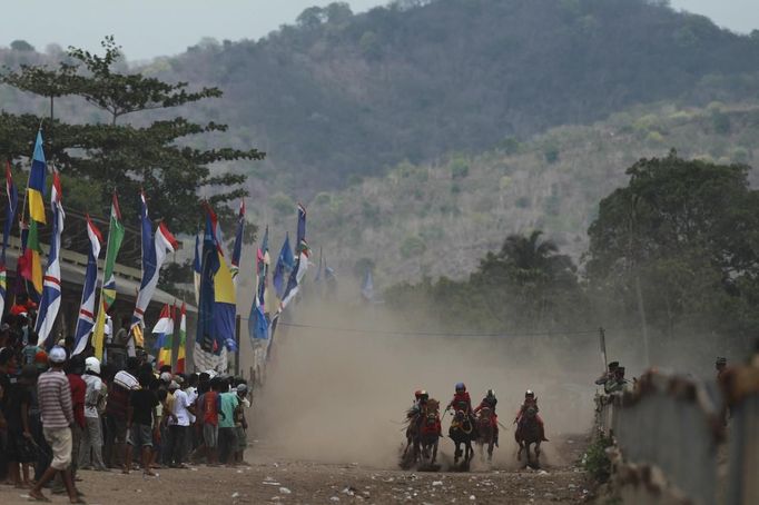 Child jockeys race their horses at a racetrack outside Bima, November 18, 2012. Dozens of child jockeys, some as young as eight-years-old take part in the races. Involving nearly 600 horses they take place around a dusty, oval track of 1,400 meters (nearly one mile). The reward, for the winner is a handful of cash for his family, and glory for the jockey. The grand prize is one million rupiah ($100). Those who win their groups get two cows. The chairman of the races' organising team, Hajji Sukri, denies that there is any danger to the children saying they are all skilful riders and none has been killed or seriously hurt. Picture taken November 18, 2012. REUTERS/Beawiharta (INDONESIA - Tags: SPORT SOCIETY) ATTENTION EDITORS: PICTURE 10 of 25 FOR PACKAGE 'BETTING ON CHILD JOCKEYS' Published: Lis. 24, 2012, 9:16 dop.